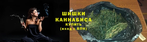 тгк Богородск
