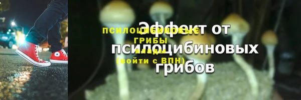 дживик Богородицк