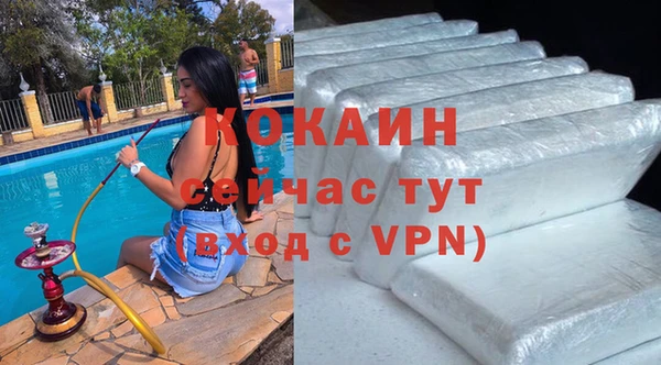 дживик Богородицк