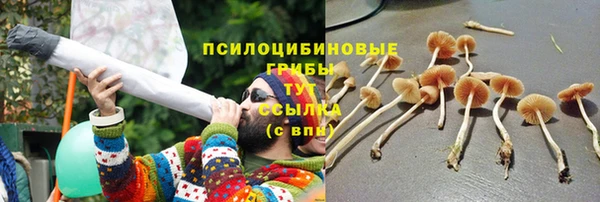 jwh Богданович